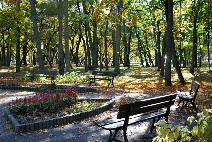 Wystawa fotografii nt. „Jesień w obiektywie”