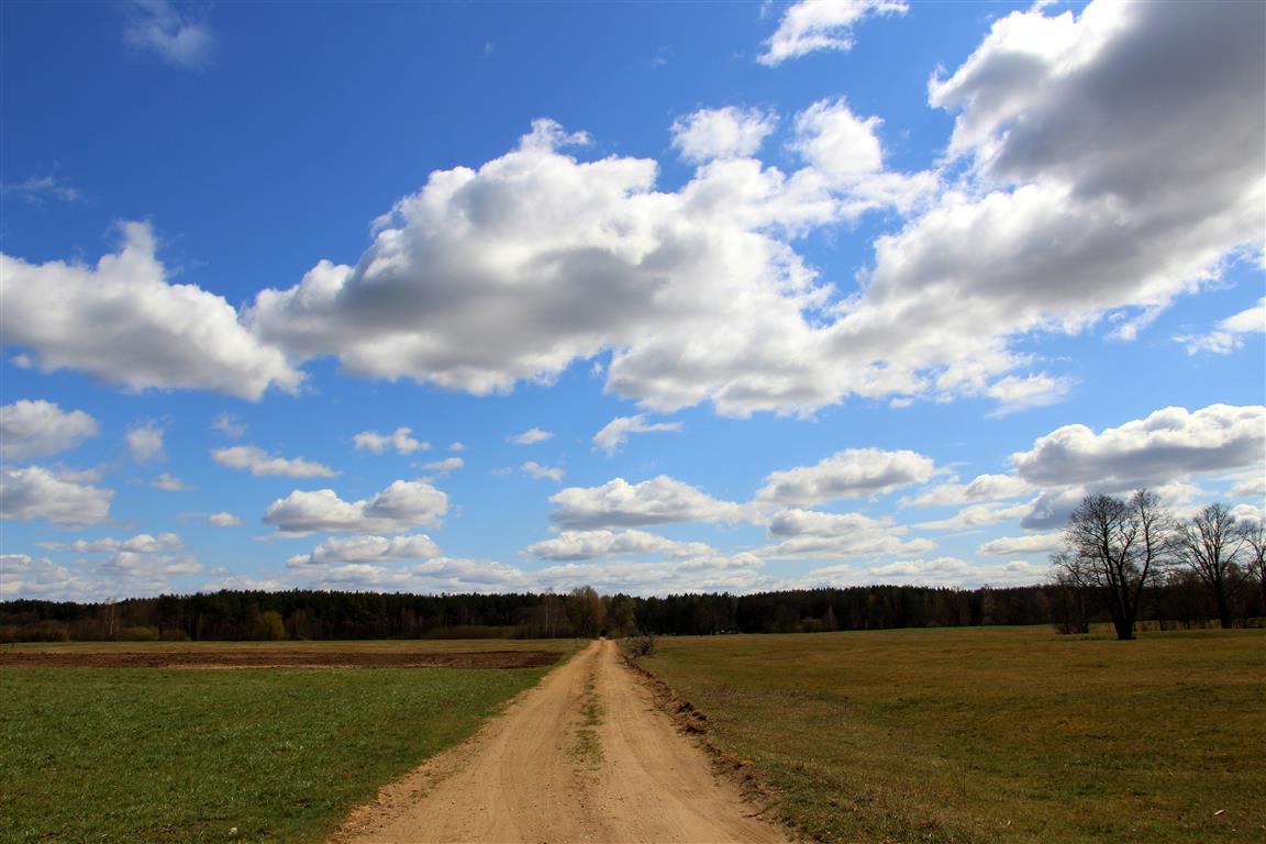 Zostań przyjacielem Ziemi